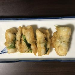 中紀でエギングとキッシング