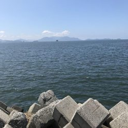 穴釣りデーゲーム