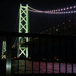 ハズレの日！？