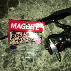 ライト五目釣り