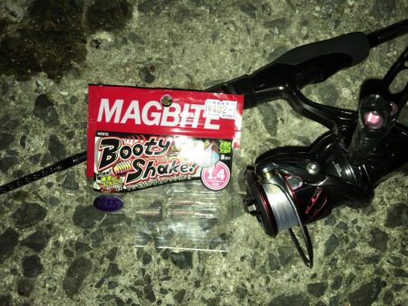 ライト五目釣り