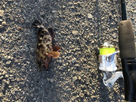 出勤前に。part13