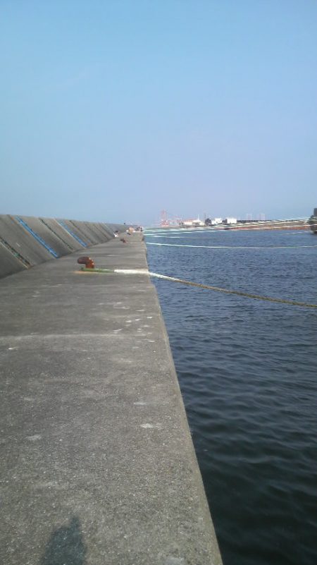 ２年ぶりのタコ釣り