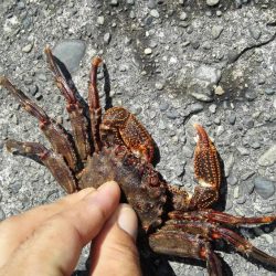 スーパーライトゲーム