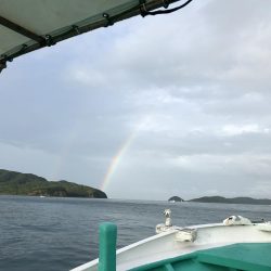 泉州丸さんで五目