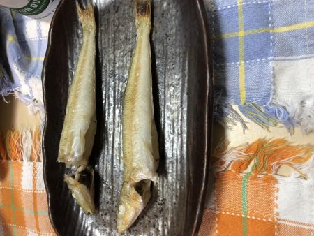 今年初キス釣り