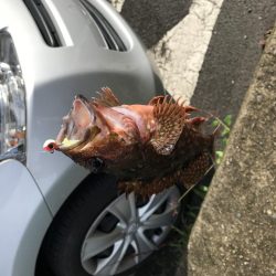 水潮ライトロック