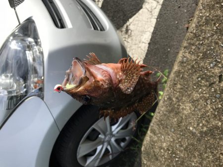 水潮ライトロック