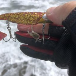 先週に続き今週も