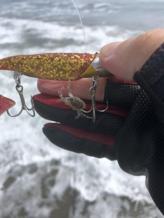 先週に続き今週も