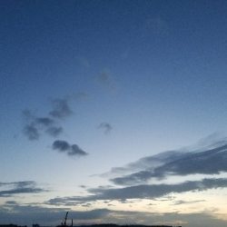 キス釣り ~カレイも出た!ずっしり