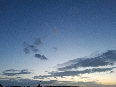 キス釣り ~カレイも出た!ずっしり