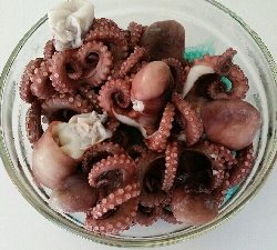 やっとタコシーズン開幕です