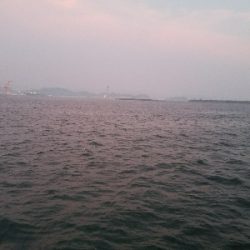 太刀魚釣り　～リベンジマッチ～