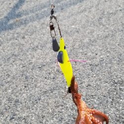 オクトパッシング