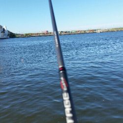 舞洲アジングNo2