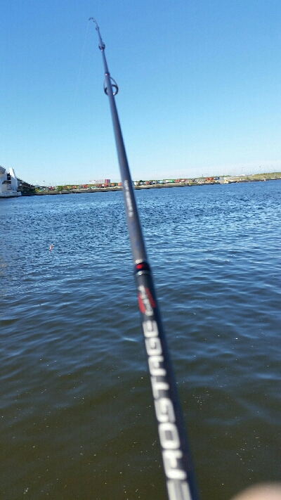 舞洲アジングNo2