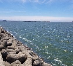 オクトパッシングパート2