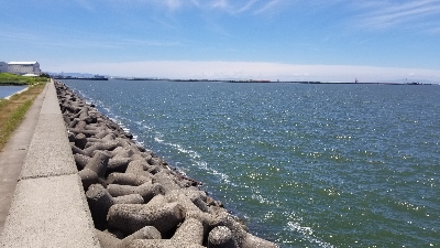 オクトパッシングパート2