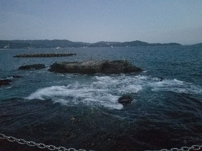 ハゲ釣り　～チヌ、グレ、マハタ～