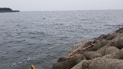 台風前のショアジギ