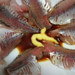 やっとアジ釣れた！