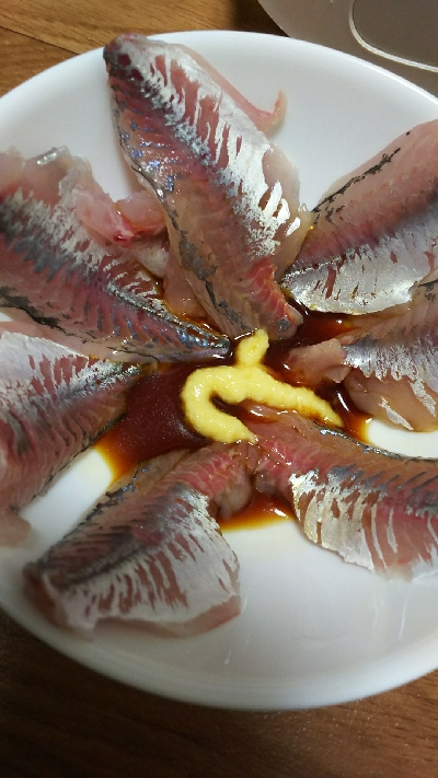 やっとアジ釣れた！