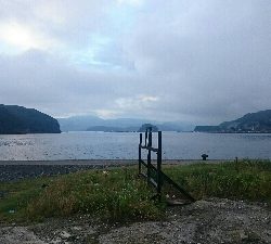 ロックフィッシュゲーム