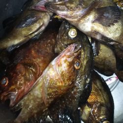 沖堤防でストレス発散ww