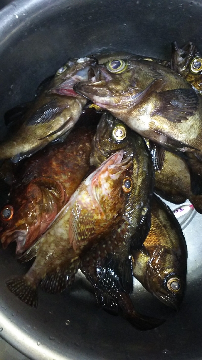 沖堤防でストレス発散ww