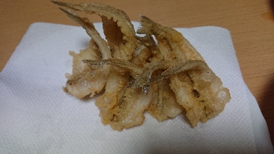 久しぶりの釣り