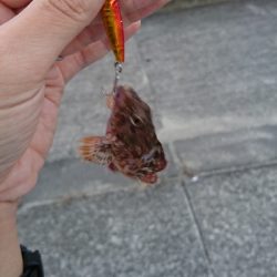 マイクロジギング