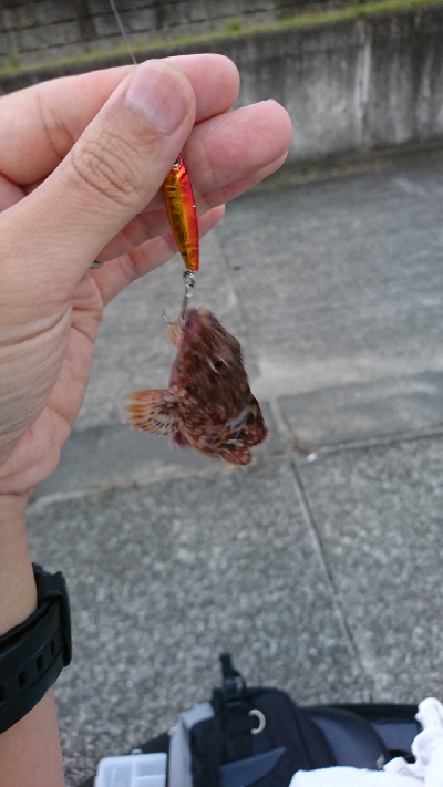 マイクロジギング