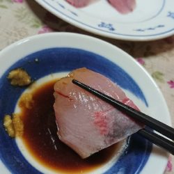 地磯釣行！ヒラマサ、サワラ