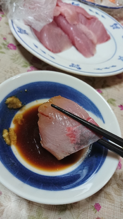 地磯釣行！ヒラマサ、サワラ