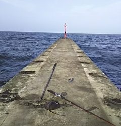 ジグでアカエイ16,17