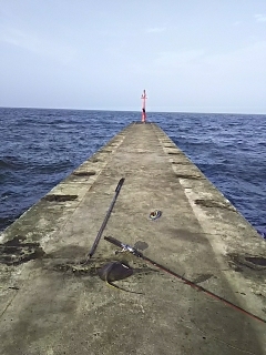 ジグでアカエイ16,17