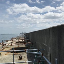 めちゃくちゃ釣れてますよ！