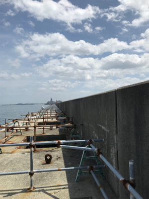 めちゃくちゃ釣れてますよ！