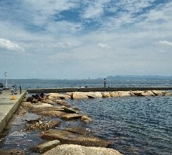 2018年7月1日釣行in姪浜漁港周辺