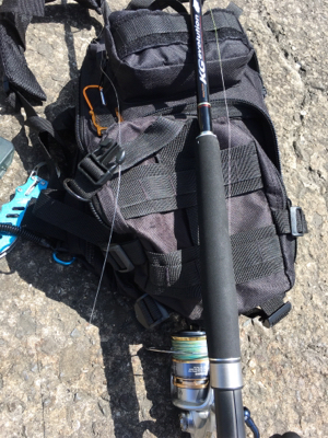 ハマチは何処かで、