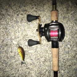 夕まづめナマズゲーム