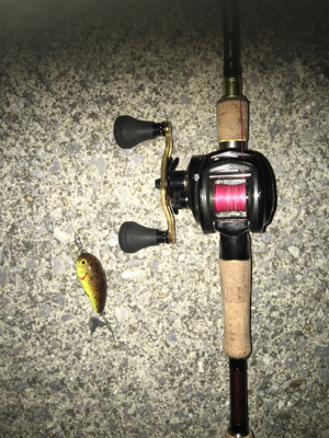 夕まづめナマズゲーム