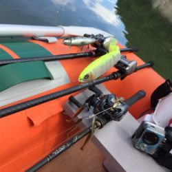 子バスしか反応しない