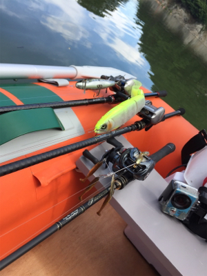 子バスしか反応しない