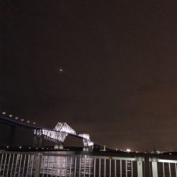 またセイゴです