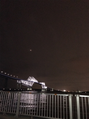 またセイゴです