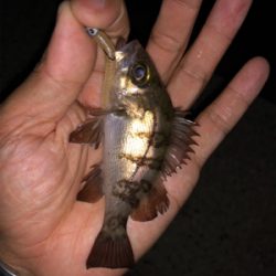 子供と海水浴帰りに♪