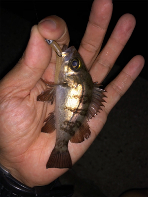 子供と海水浴帰りに♪