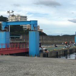 石ゴカイでちょんちょん